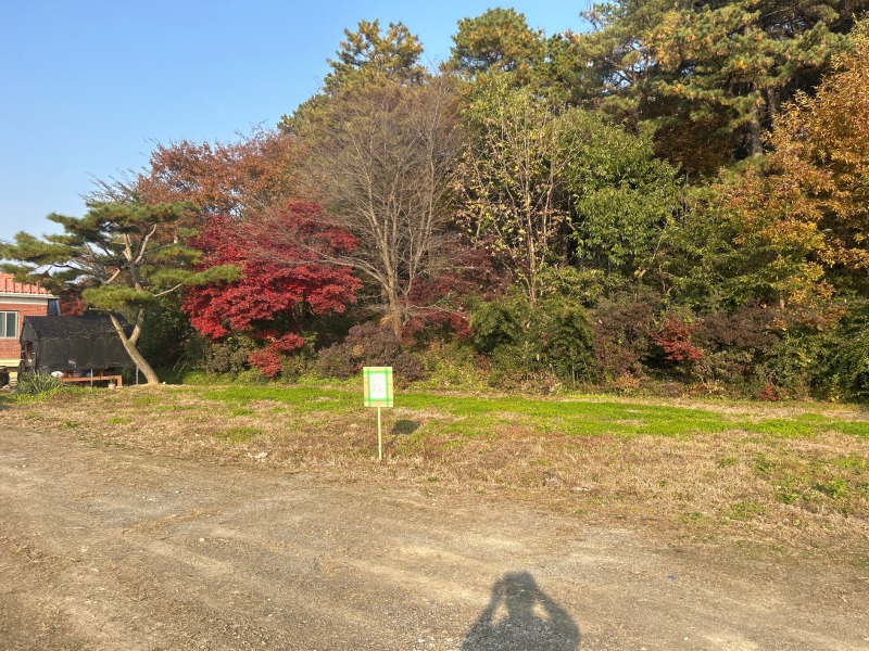 251107.jpg